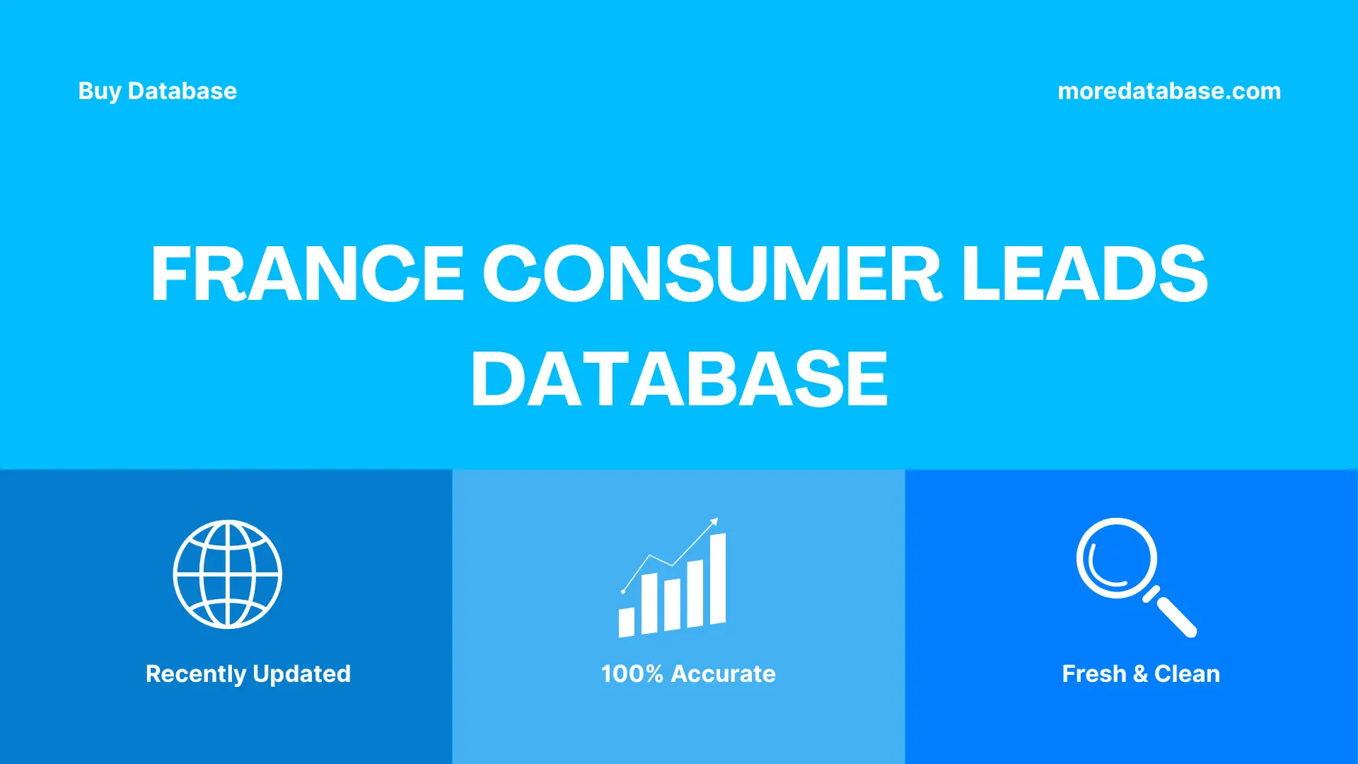 France Consumer Leads Database